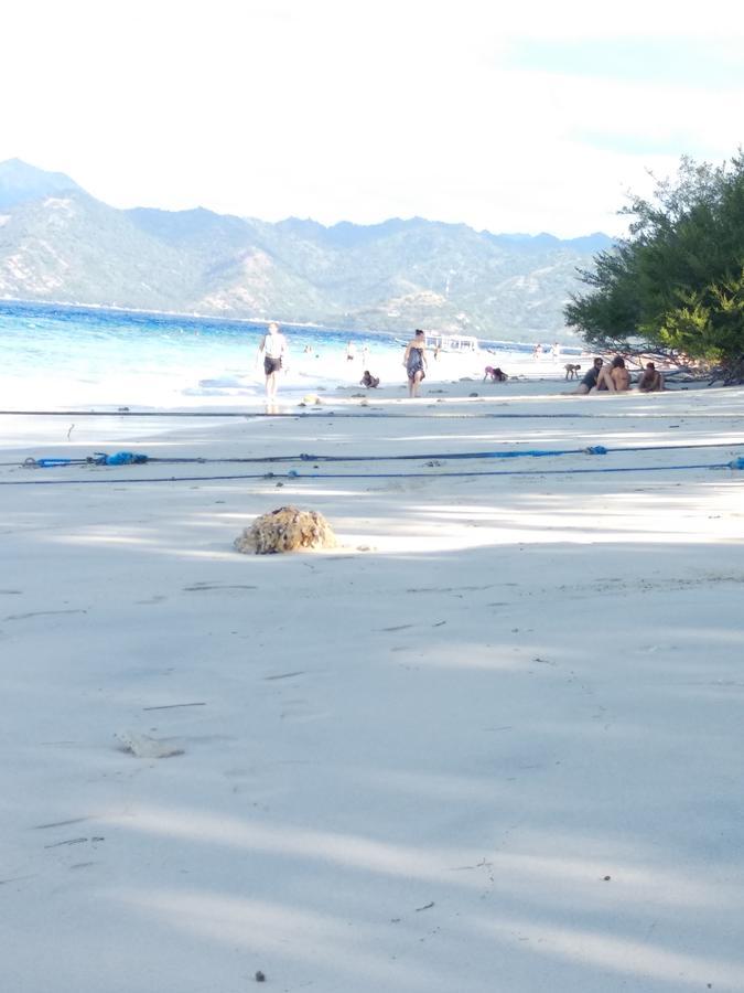 Cnunk Bungalow Gili Meno Eksteriør billede